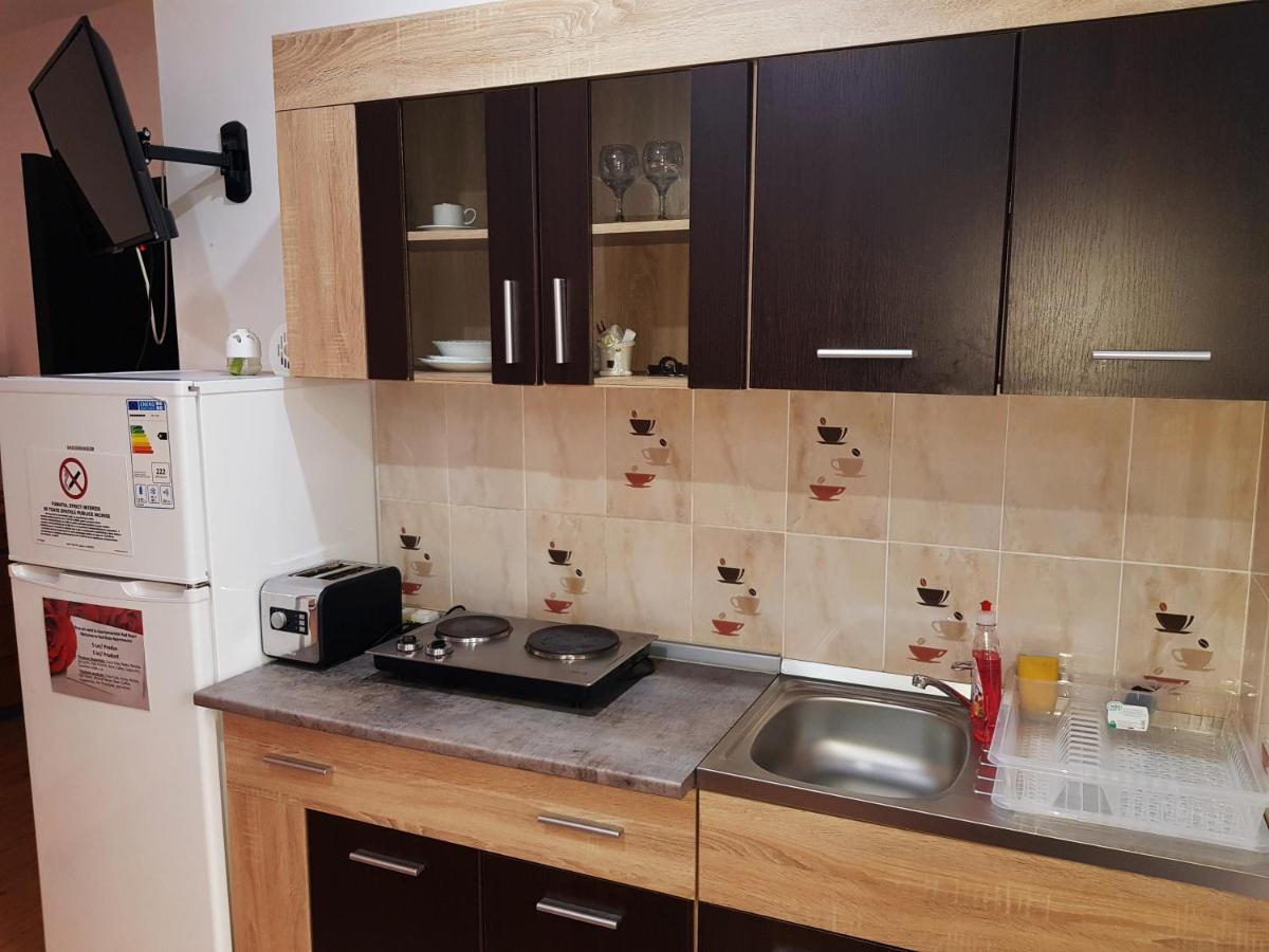 Pensiunea Red Rose Apartments Timisoara Exterior foto