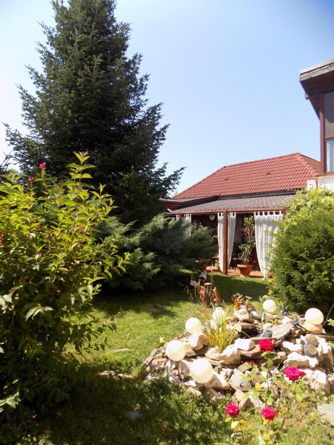 Pensiunea Red Rose Apartments Timisoara Exterior foto
