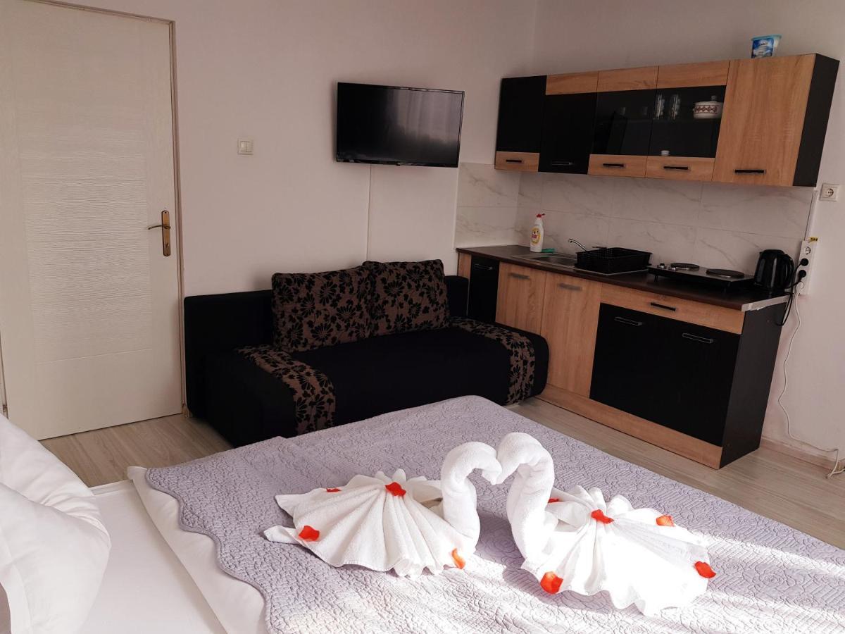Pensiunea Red Rose Apartments Timisoara Exterior foto