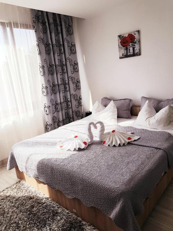 Pensiunea Red Rose Apartments Timisoara Exterior foto