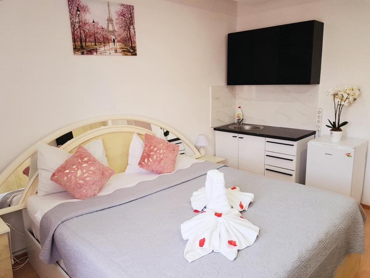 Pensiunea Red Rose Apartments Timisoara Exterior foto