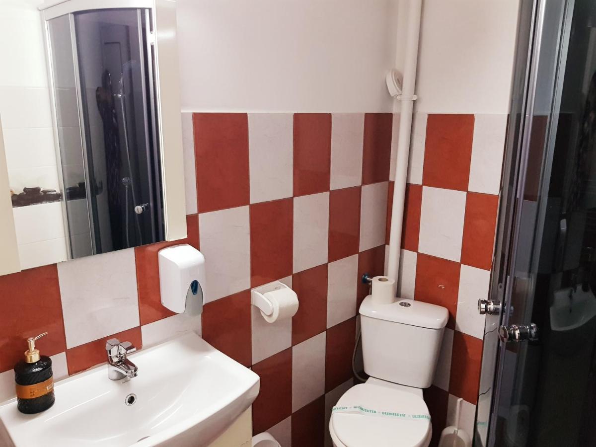 Pensiunea Red Rose Apartments Timisoara Exterior foto