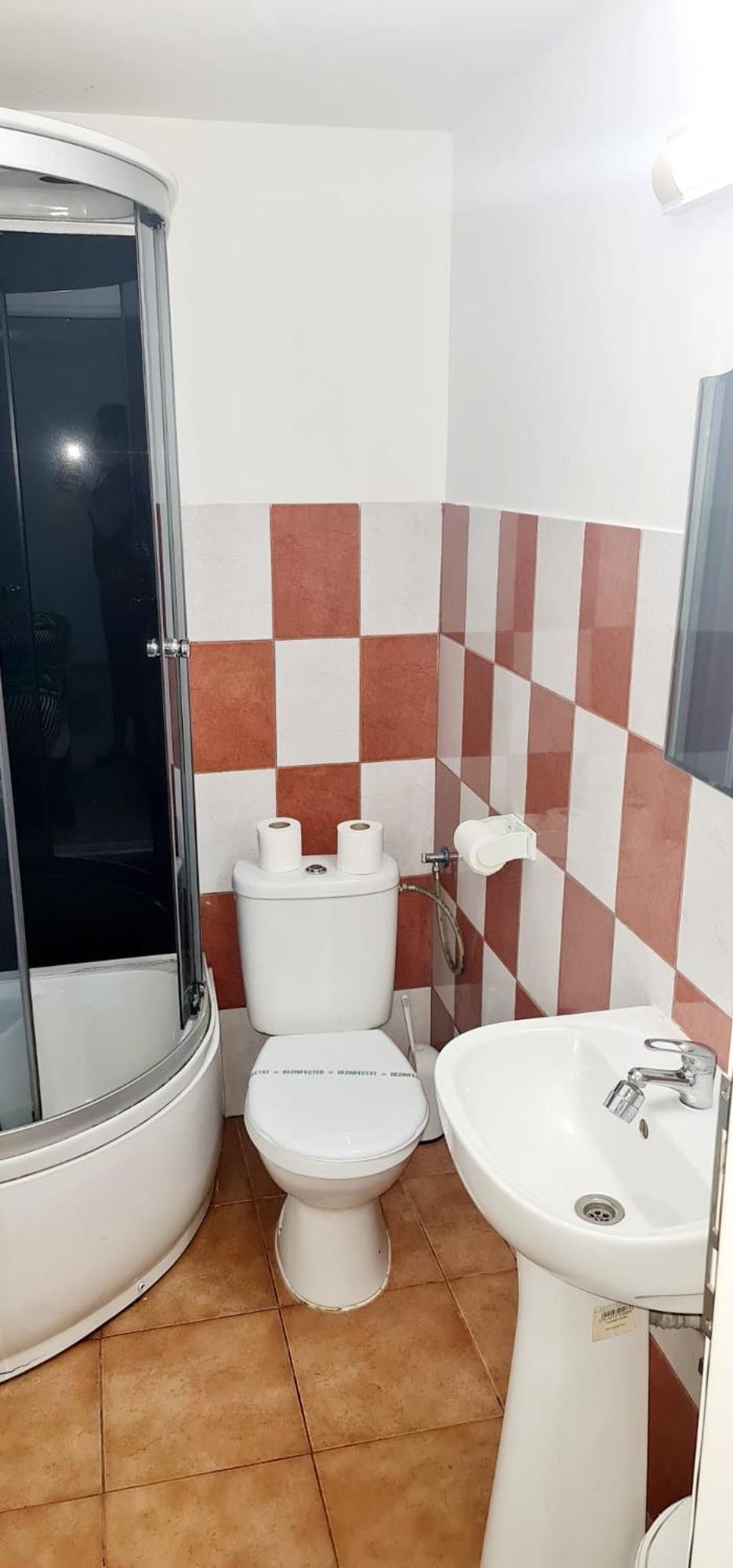 Pensiunea Red Rose Apartments Timisoara Exterior foto