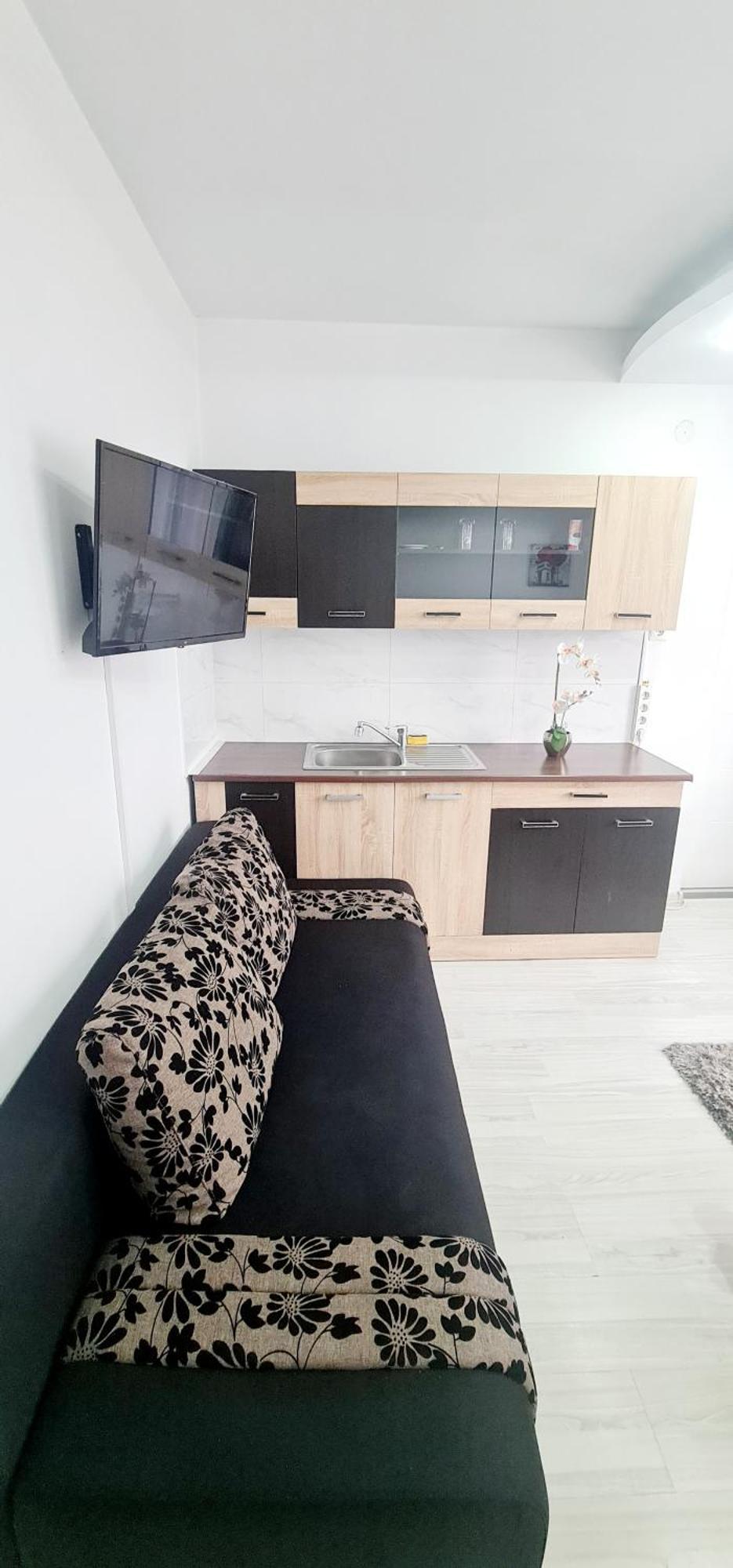Pensiunea Red Rose Apartments Timisoara Exterior foto