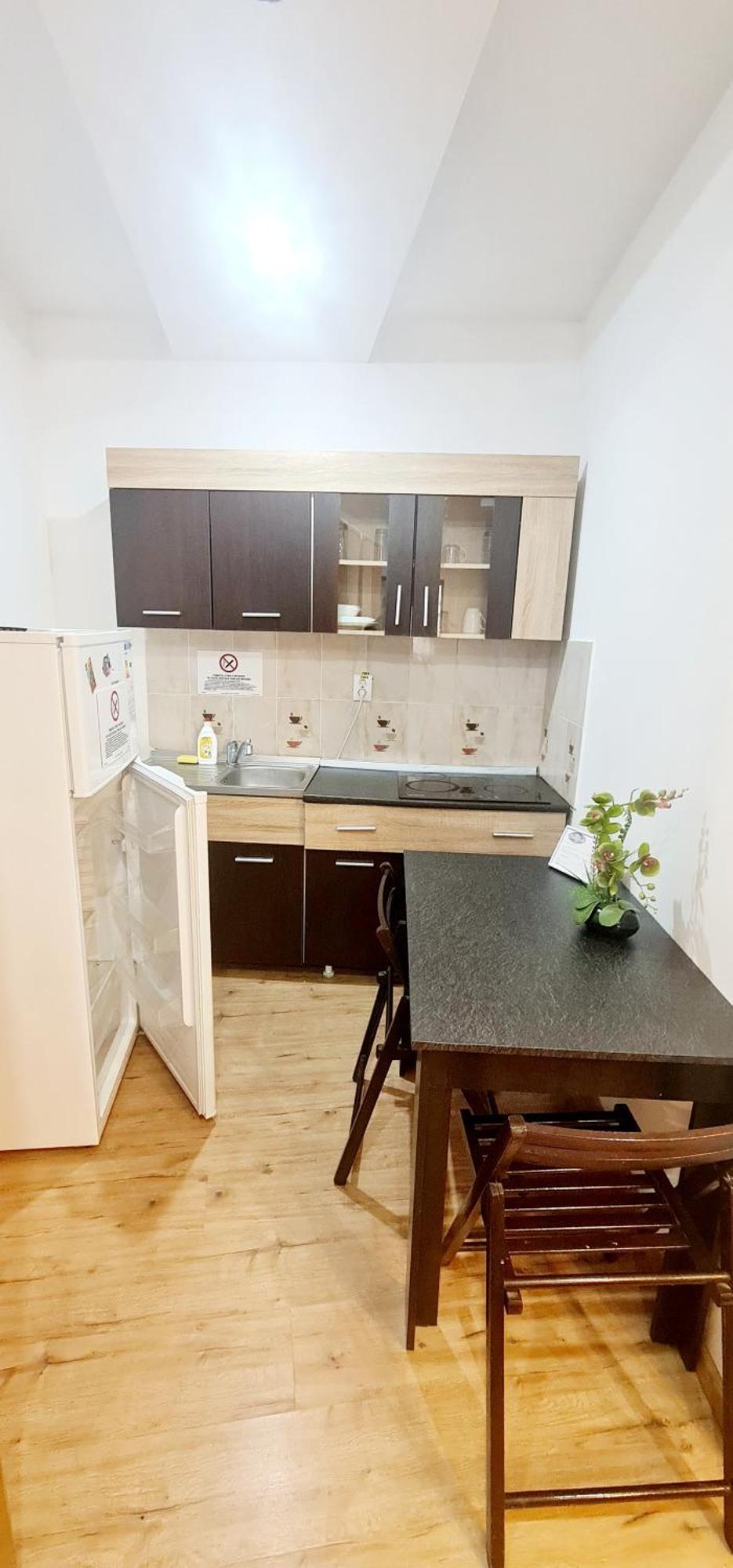 Pensiunea Red Rose Apartments Timisoara Exterior foto