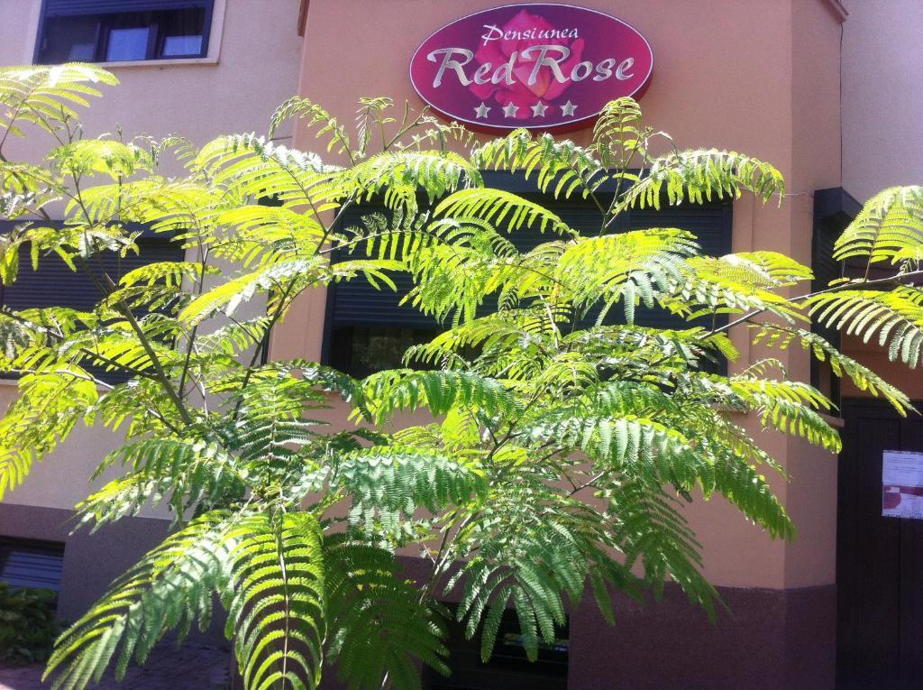 Pensiunea Red Rose Apartments Timisoara Exterior foto